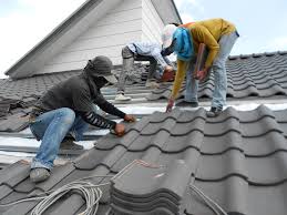 Best Asphalt Shingle Roofing  in Nekoosa, WI